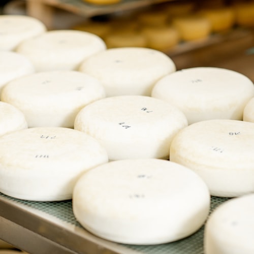 Köy Peyniri — Çökelek — 500g