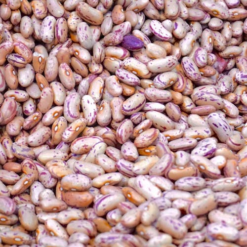 Kurutulmuş Fasulye — Çalı — 1kg